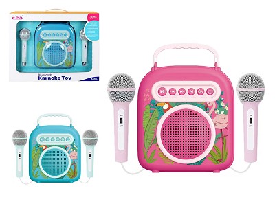 Bluetooth karaoke toy